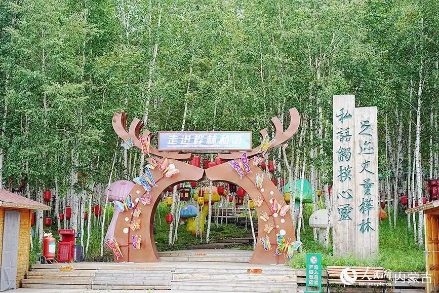 内蒙古呼伦贝尔：林海深处有清境 凤凰山夏景如画