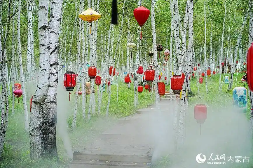 内蒙古呼伦贝尔：林海深处有清境 凤凰山夏景如画