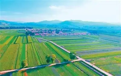 内蒙古喀喇沁旗推动“药材+研学+康养+旅游”融合发展循着药香去旅游