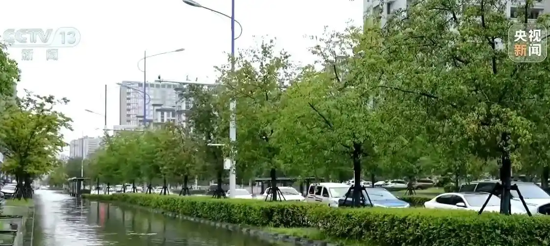 网传飞机“散云止雨”加重内蒙古旱情？真相来了