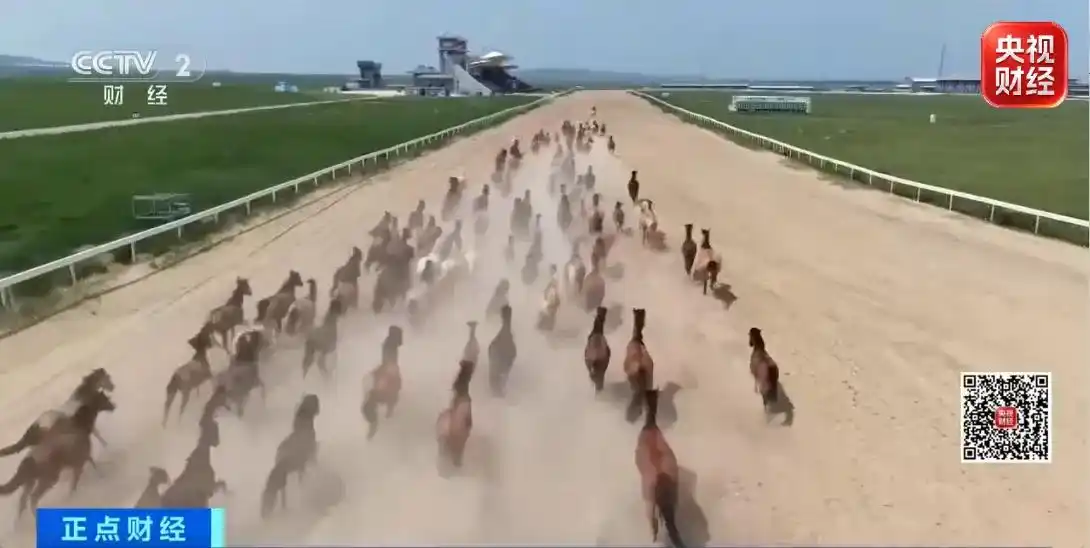 骏马奔腾!内蒙古以赛事聚客流,激活县域消费