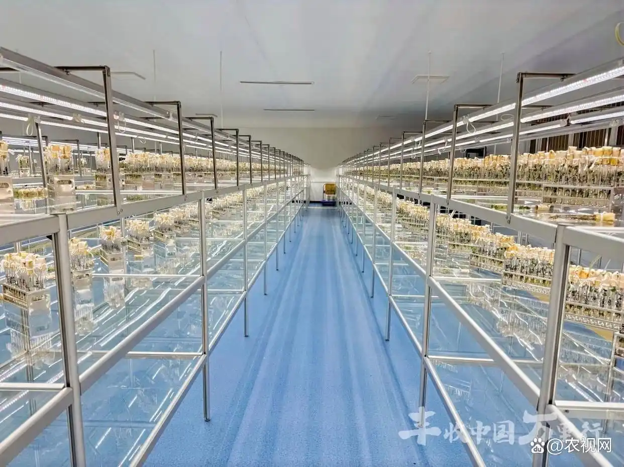 良种沃土 智绘丰景 2026丰收中国万里行走进内蒙古、宁夏、河北
