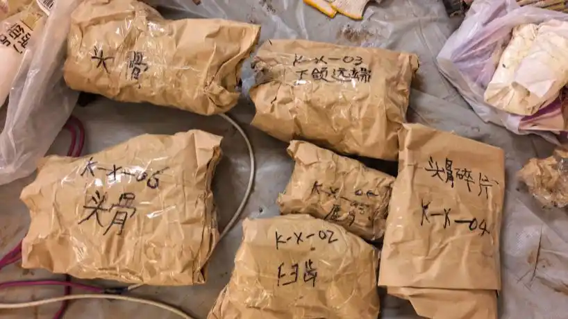 距今约20万年，内蒙古一地有重大发现