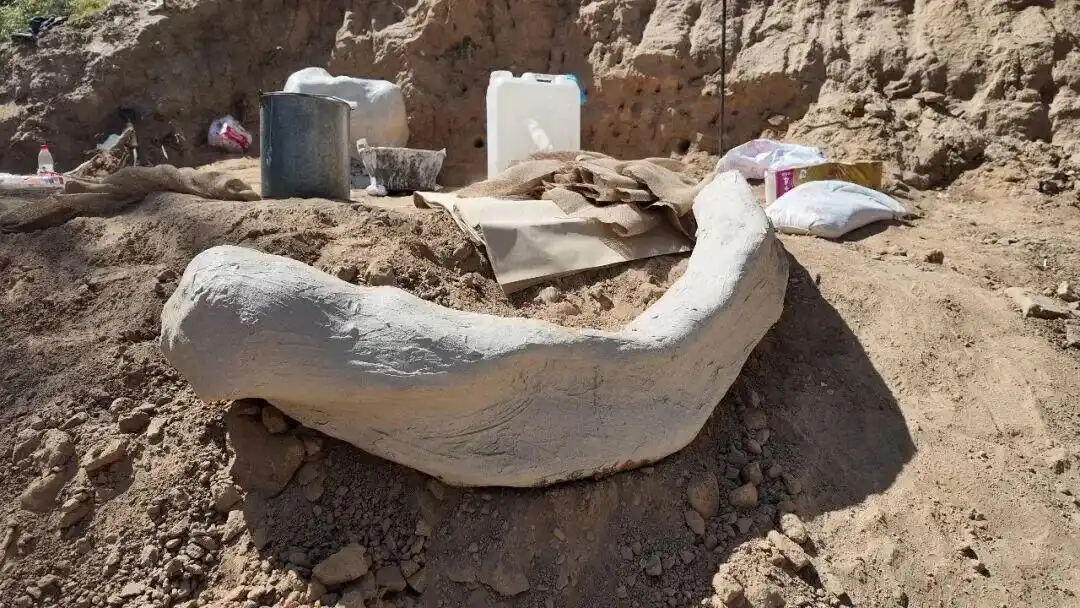 距今约20万年，内蒙古一地有重大发现