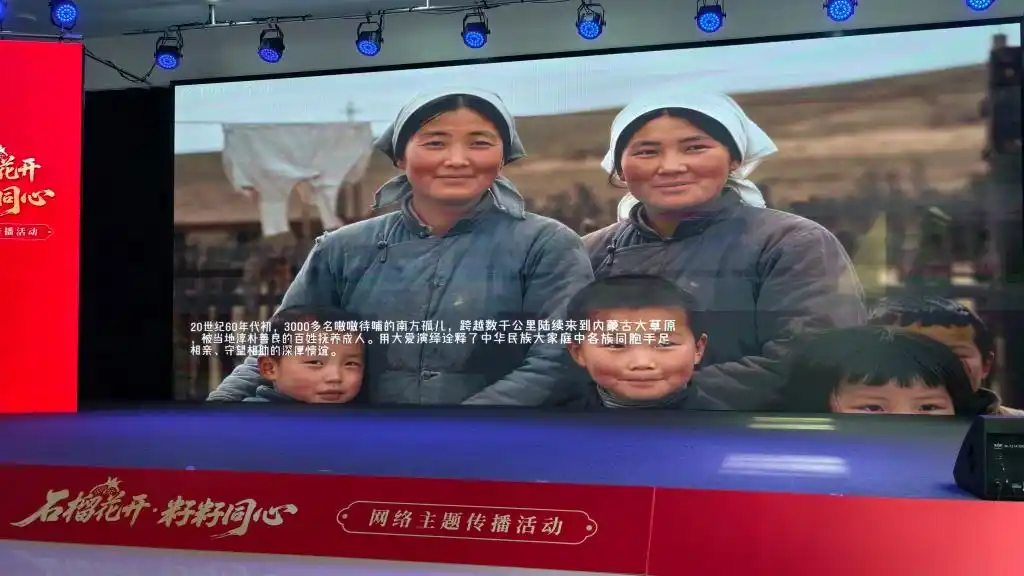 石榴花开，籽籽同心：三项网络主题活动在内蒙古正式启动