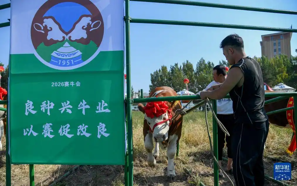 内蒙古通辽：农博园里庆丰收
