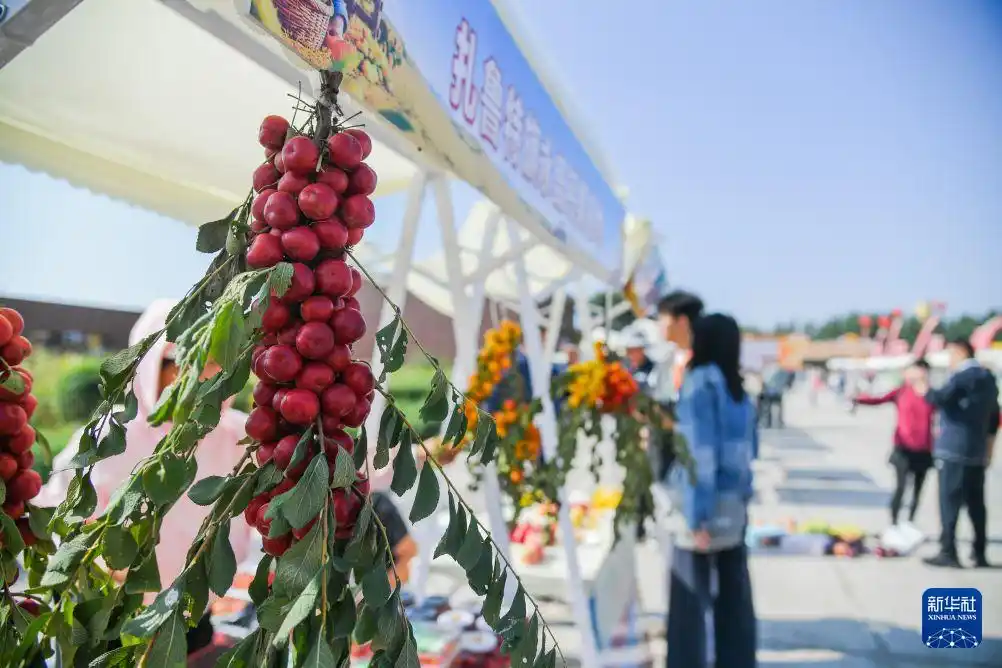 内蒙古通辽：农博园里庆丰收
