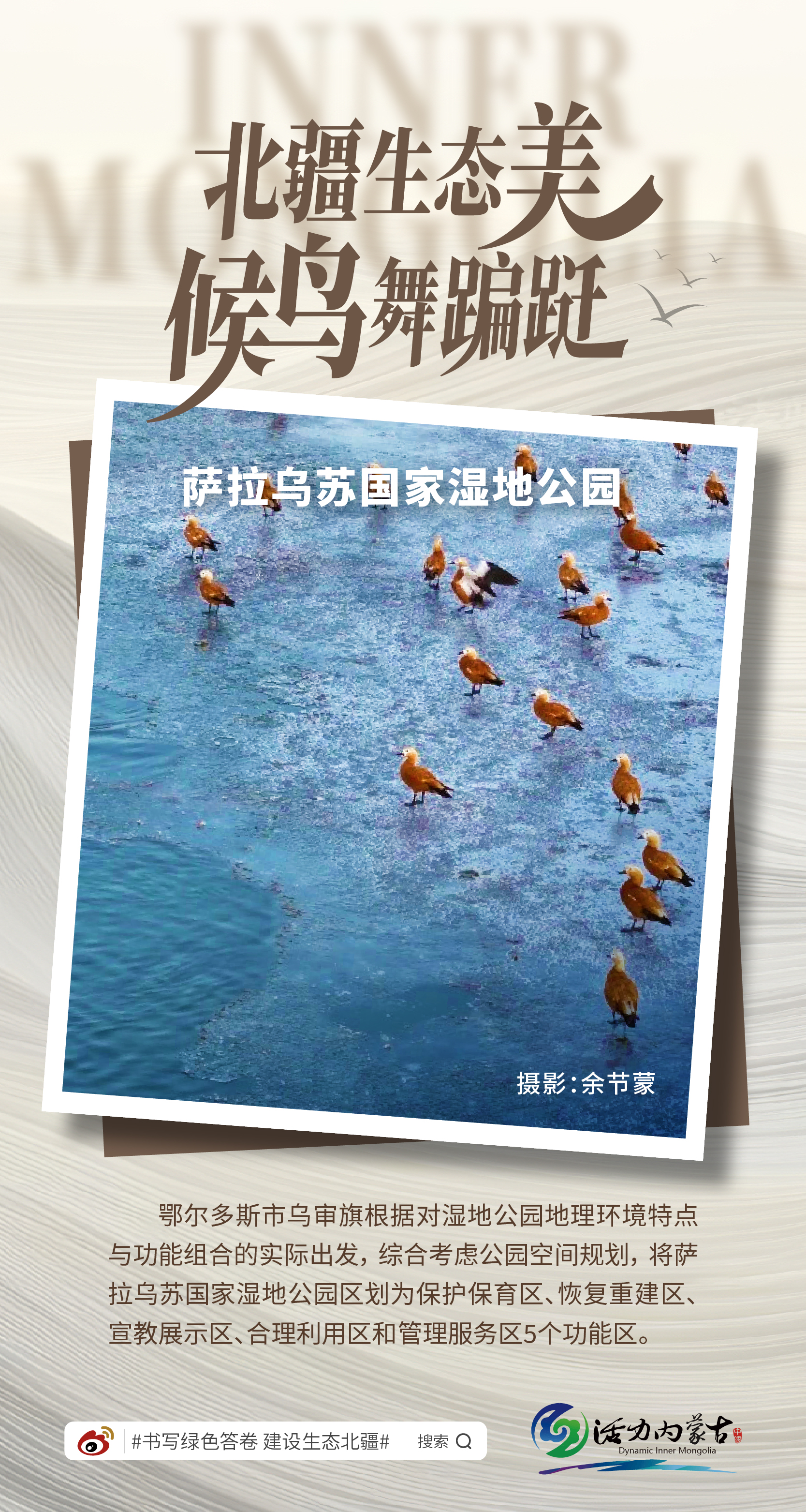 北疆生态美 候鸟舞蹁跹|